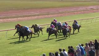 Mareeba 20240831 Race 4 [upl. by Nehgem]