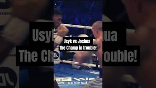 Anthony Joshua vs Oleksandr Usyk Full Fight Highlights usyk anthonyjoshua [upl. by Anivid333]