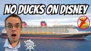 Ducks On Disney Cruises You Cant hide them onboard and other Disney News [upl. by Egnalos]