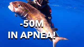 OLTRE 50M IN APNEA PESCASUB AI GROSSI PREDATORI [upl. by Halstead]