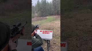 556 green tip vs a tree can the mini 14 do it mini14 greentip shooting 556 firearm shooting [upl. by Yatnuahc]