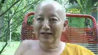 Ven Dhammavuddho 28  More criticisms of Mahayana teachings [upl. by Nwahsuq575]