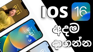 How to Update to iOS 16  Tips Before Installing  Sinhala [upl. by Edris]