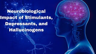 Neurobiological Impact of Stimulants Depressants and Hallucinogens [upl. by Ahtikal663]