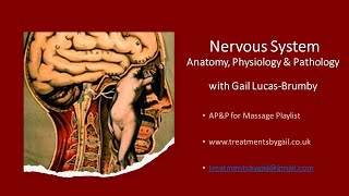 Nervous System with Gail Lucas Brumby [upl. by Aserret]