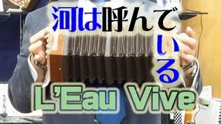 コンサーティーナ「河は呼んでいる」 Anglo ConcertinaquotLEau Vivequot [upl. by Einohpets820]