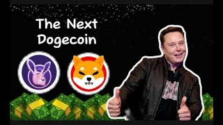 Invest Now ‼️ 2 Meme coin yang Bakal Jadi The Next DOGECOIN Profit up 40000 [upl. by Attaymik]