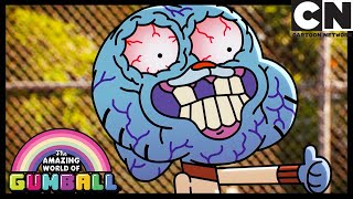 The Loser In The Grand Sitcom Of Our Lives  Gumball  Cartoon Network [upl. by Sessler188]