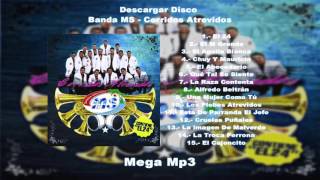 Banda MS Corridos Atrevidos Descargar Disco Completo Por Mega [upl. by Chivers]