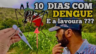 PASSEI APERTO COM ESSA DENGUE  10 DIAS SEM LEVANTAR DA CAMA [upl. by Eidnac]