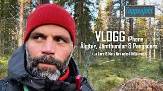 VLOGG Jämthundar amp Älgtjuren [upl. by Jacobo]