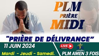 PLMPRIÈRE MIDI  PRIÈRE DE DÉLIVRANCE  MARDI 11 JUIN 2024  PLM AMEN 3 FOIS [upl. by Larochelle]