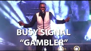 Busy Signal  The Gambler Lyrics [upl. by Jeminah]