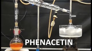 PHENACETIN SYNTHESIS WILLIAMSON ncchem [upl. by Ashbaugh685]