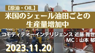 米国のシェール油田ごとの生産量増加中【原油】231120商品先物投資情報GoldTVnet [upl. by Vullo]