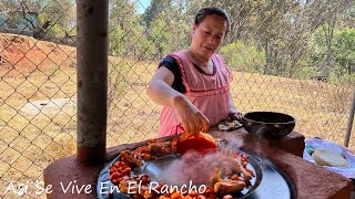 Enchiladas Placeras De Michoacán Así Se Vive En El Rancho [upl. by Telfer]