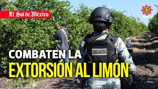 Combaten la extorsión al limón [upl. by Natica]