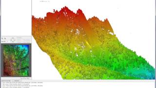 La gestion forestiere par limagerie geospatiale  Sortez des sentiers battus avec ENVI [upl. by Tenom]