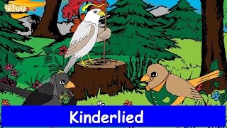 Ein Vogel wollte Hochzeit halten  Traditionelles Kinderlied  Sing mit Yleekids [upl. by Aerbas]