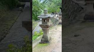 Stunning Miyajima Island ourlifeinjapan travel japaneselife japantravelvlog japanesetravel [upl. by Raclima]