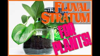 Intro amp Potting Plants in Fluval Stratum [upl. by Ulund]