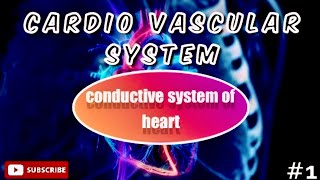 Conductive System Of Human Heart  CVS   SA Node  AV Node  Layers  Valves [upl. by Adamsun659]