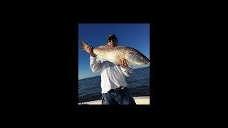 Bull Reds  Charleston Jetties [upl. by Tsan314]