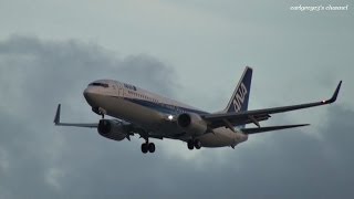 那覇空港 All Nippon Airways ANA Boeing 737800 JA52AN 着陸 2013910 [upl. by Rodgers]