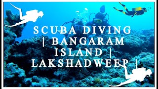 Scuba diving  Bangaram Island  Lakshadweep [upl. by Woodie]