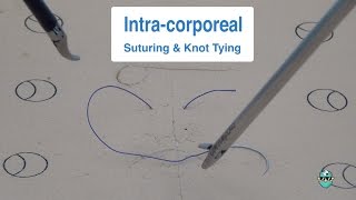 Intracorporeal Suturing amp Knot Tying [upl. by Ilahsiav]