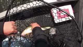 Walleye Fishing on Bitter Lake in Waubay South Dakota [upl. by Ruzich]