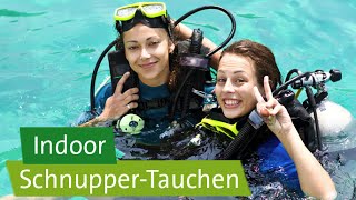 IndoorSchnupperTauchen im quotmonte marequot Rheinbach [upl. by Phio]