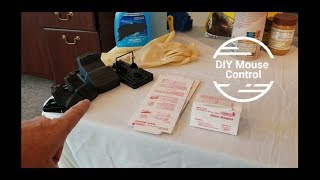 DIY Rodent Control setup tips for sticky trap snap trap and live catch trap [upl. by Aneeg]