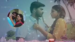 Chinna Thambi Serial Love Ringtone [upl. by Ecnerol169]