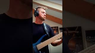 Do i do bass cover bass bassplayer bassist [upl. by Annette]