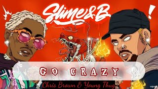 Lyrics  Vietsub Go Crazy  Chris Brown amp Young Thug [upl. by Ziom]