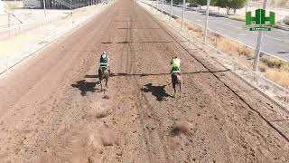 Carreras de Caballos del dia 10 de Noviembre del año 2024 en en el Hipódromo de Hermosillo [upl. by Vacuva]