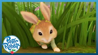 ​OfficialPeterRabbit 🐰🤪 Cottontails Cute amp Silly Scares 🐰🤪  PEEKABOO  Cartoons for Kids [upl. by Box366]