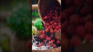 Have you heard about lychee wine makingwine wine ytshorts [upl. by Inoy]