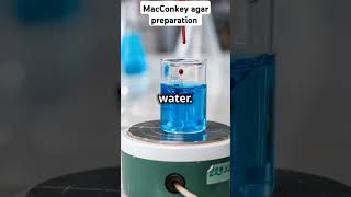 MacConkey agar preparation composition of agar  lab practical microbiologyshortsviralvideomlt [upl. by Saxe]