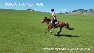 Gallop in Mongolia Horse riding trails by Mongolia Travel amp Tours [upl. by Odom]