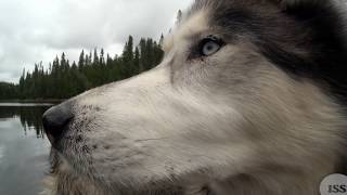 Northern Ontario Canoe Trip Wakasimi River Part 1 [upl. by Lobel289]