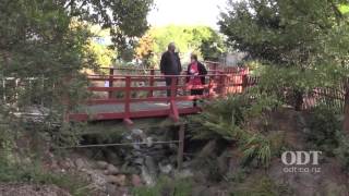 Damage from the Dunedin June 2015 floods [upl. by Drarreg]