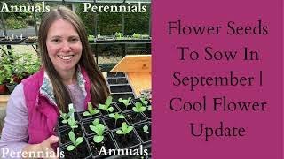 Perennial And Annual Flower Seeds To Sow In September And Cool Flower Update [upl. by Wat154]