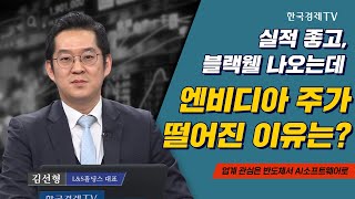 실적 좋고 블랙웰 나오는데 엔비디아 주가 떨어진 이유는 I 김선형 I 엔비디아 I 블랙웰 I AMD I SK 하이닉스 I 삼성전자 I [upl. by Sharma]