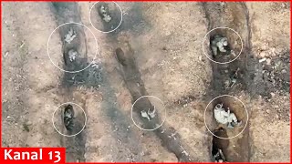 Drone chases Russians  Russians fleeing from drone took refuge in their small quotnestsquot in Bakhmut [upl. by Docile]