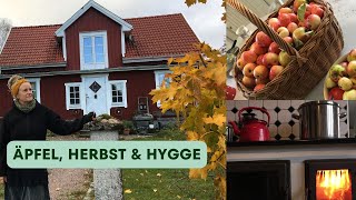 Unser Hof in Schweden  Ruhige und gemütliche Herbsttage im Waldhaus [upl. by Aciras]