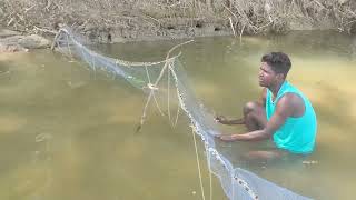 மீன்களை விரட்டி விரட்டி பிடிப்போம் வாருங்கள்  fishing video  fish  tamil [upl. by Joellyn]