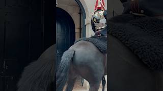 HORSE SPOOKED BY OTHER HORSES  Horse Guards Royal guard Kings Guard Horse London 2024 [upl. by Menon]