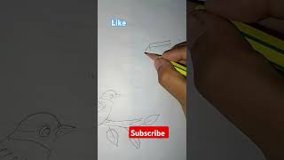 Drawing weaverbird art shorts [upl. by Cathey]